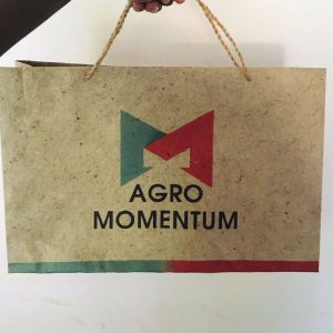 Handicraft Gift bag