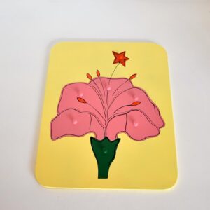 Part of Flower